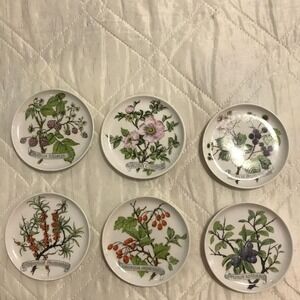 6 Kaiser‎ W. Germany Floral Mini 4" Plate/coaster